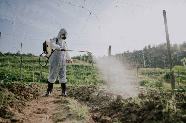 Best Commercial Pest Control Services  in Ahtanum, WA