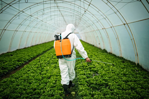Best Affordable Pest Control Services  in Ahtanum, WA